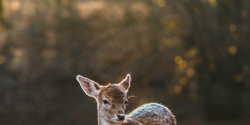 大型冷库节能新引擎：深度解析海德高效冷媒泵的稳定供液与能耗优化之道