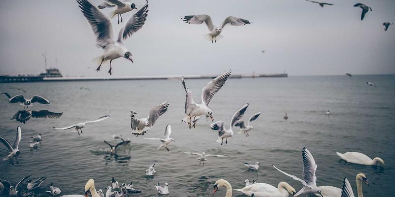 智能掌控，精准节能：海德制冷商用冷柜控制系统如何重塑工业制冷新标准